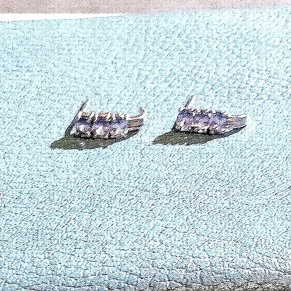 SOLD Tanzanite Stud Pierced Earrings - Picture 9 of 9